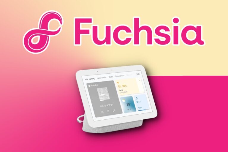 Fuchsia OS 12